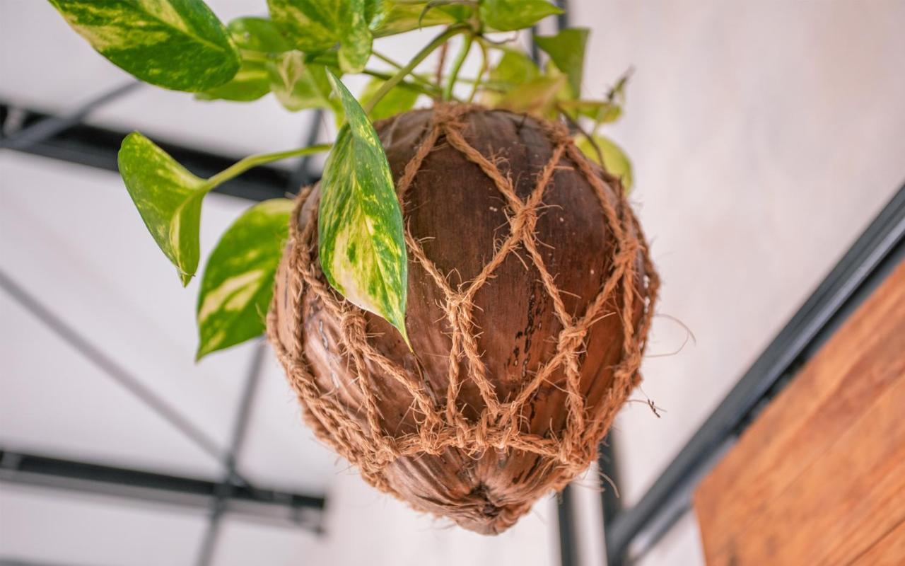 Отель Tranquil Nest Vaavu Rakeedhoo Экстерьер фото