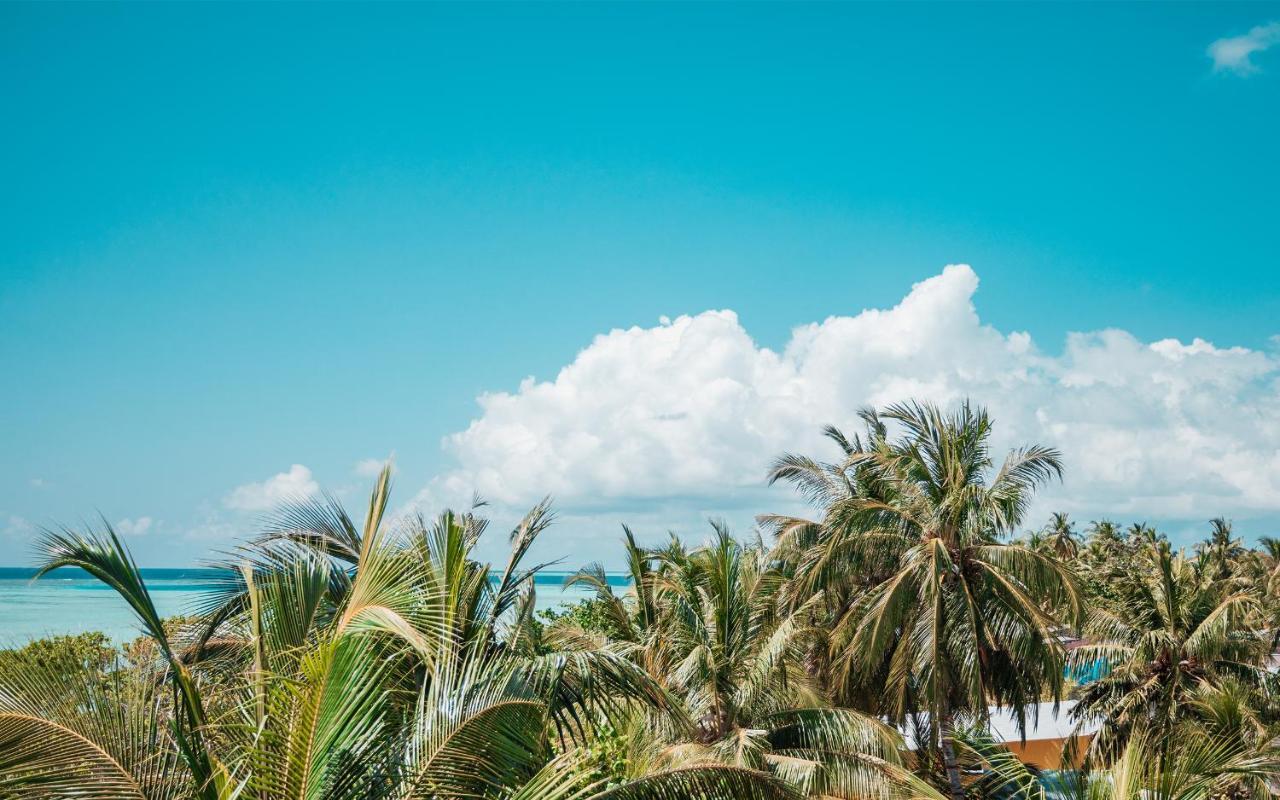 Отель Tranquil Nest Vaavu Rakeedhoo Экстерьер фото